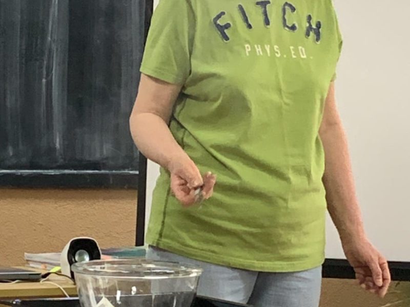 336552172_178936921596213_9027079118644634806_n
