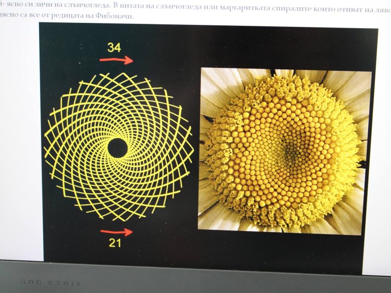 482348432_1153606442932725_576954428723723461_n