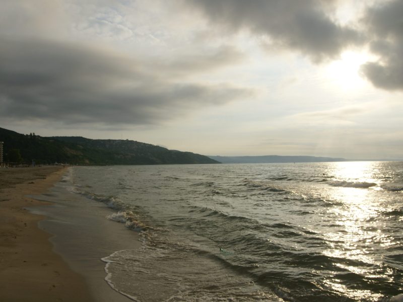 SONY DSC