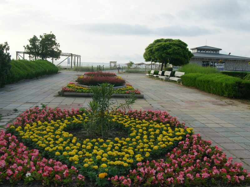 SONY DSC