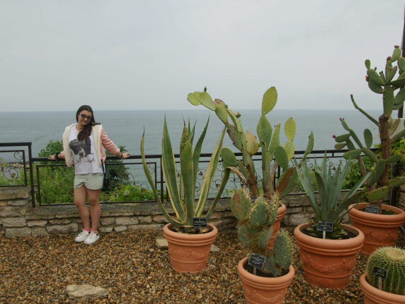 SONY DSC