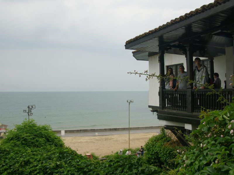 SONY DSC