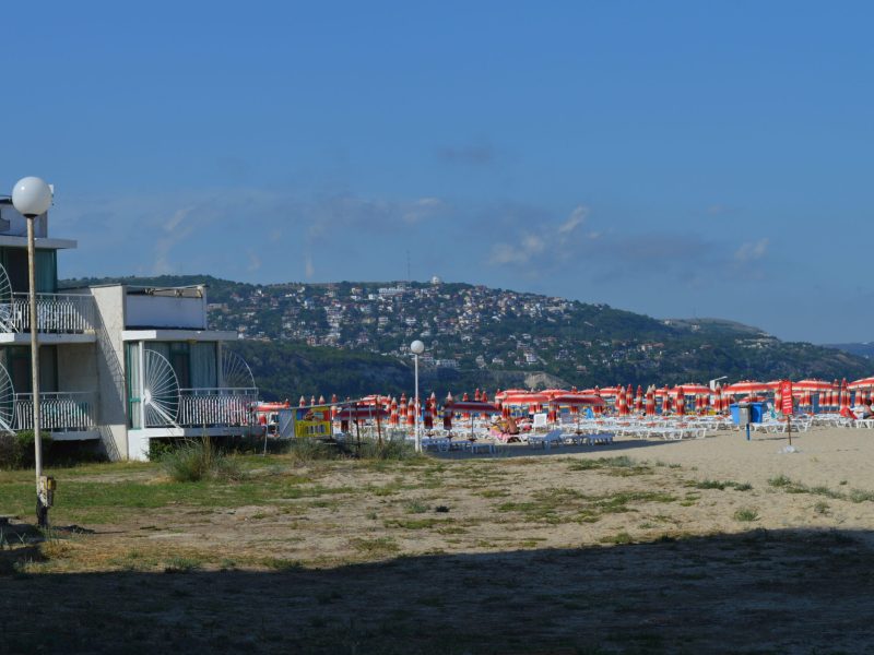 DSC_0233