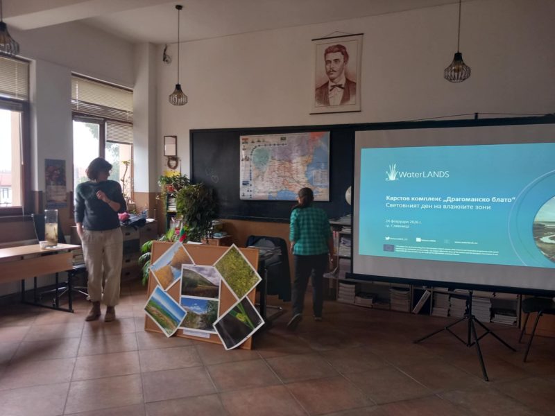 1eb1e32c-3c8d-4acc-977d-10d55185e93d