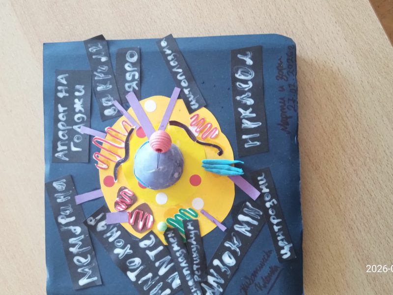 23ccaf89-7efe-4a42-a2fb-b3e0a19159bd