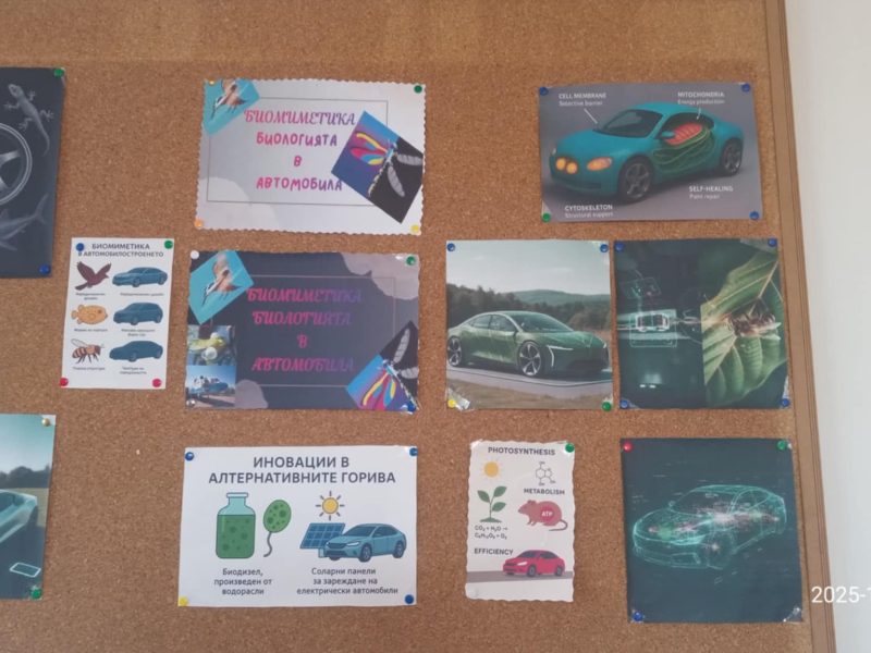 Биомиметика – когато природата среща автомобила