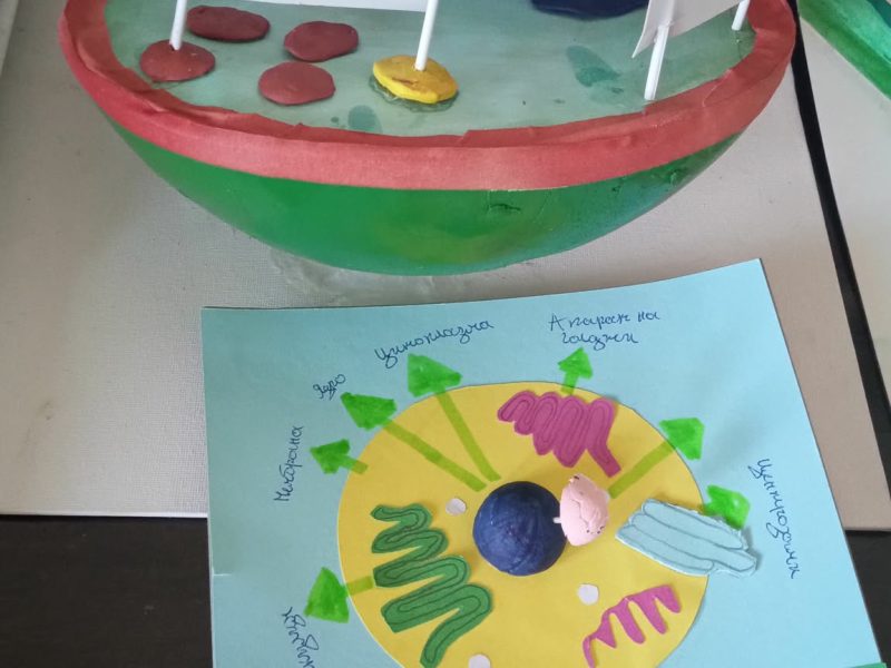 2f10329d-cfce-42df-8cf7-38b749e76dcb