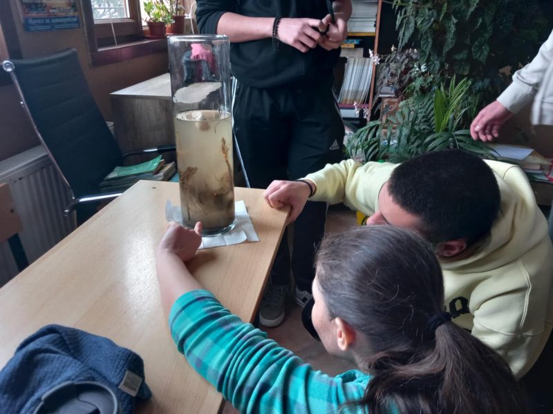 33a99b1c-e886-40a9-ad53-52f323699902