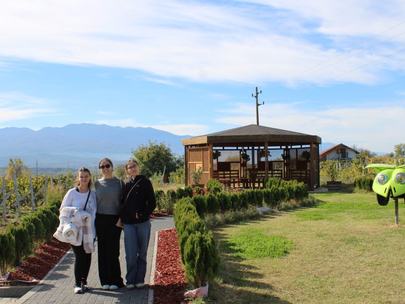 576481132_1335953494698018_1818930570114349846_n