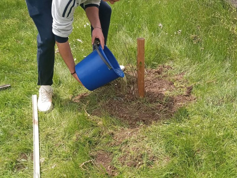 674269186_1481539943697542_2373117357847918172_n