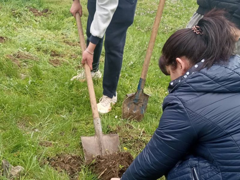 675060568_1481539567030913_8613652999849466242_n