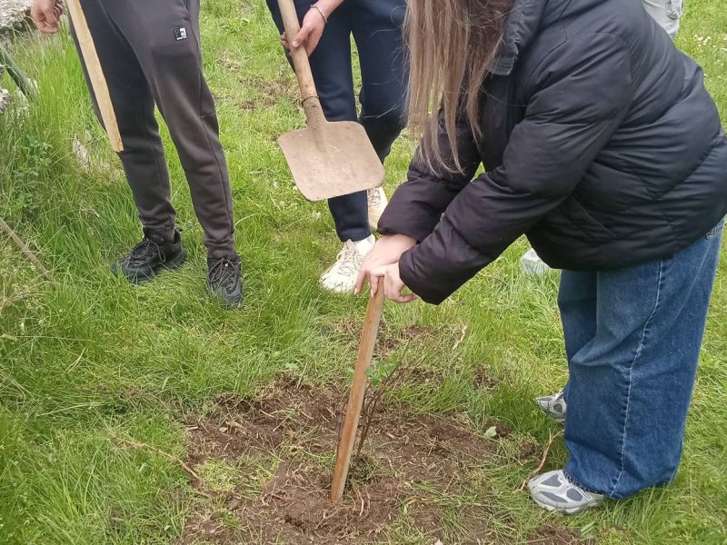 678340809_1481539790364224_6618347193090710889_n