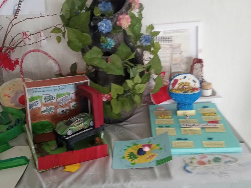 8169577b-53e0-4d94-a224-003bab4f7b1d