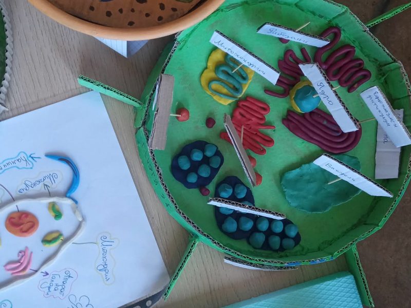 8fea7408-c338-4387-8503-a1c90fa3196c