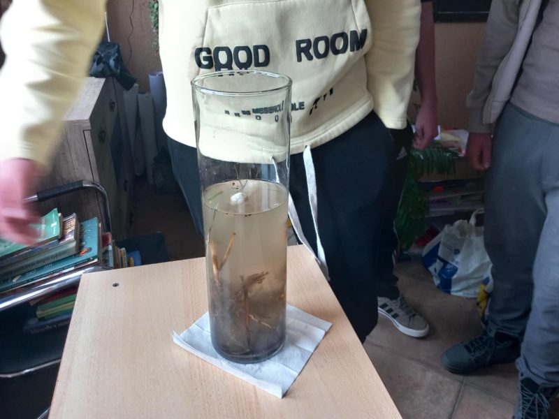 9b627a0f-4973-4064-9c46-4f6696c372b7