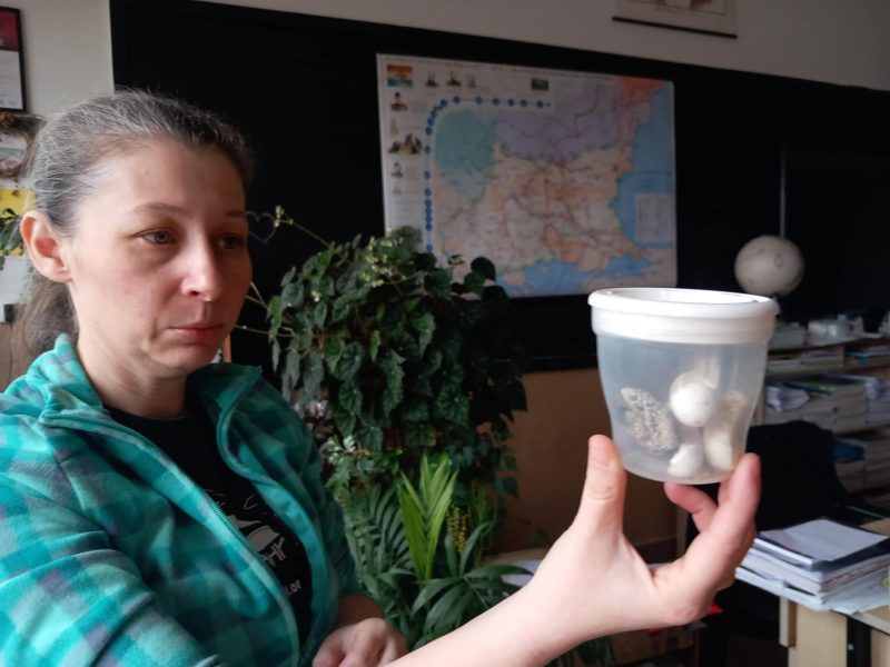 bc7896d6-e643-426a-a0d2-7aa467e28246