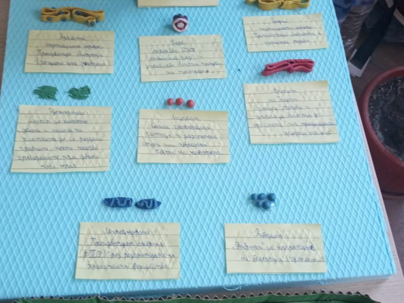 bf9b2fe6-675a-492d-a138-dd04c6b95460