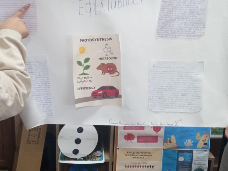 c9b95b07-0fa6-4a81-a5a9-9205f849be38