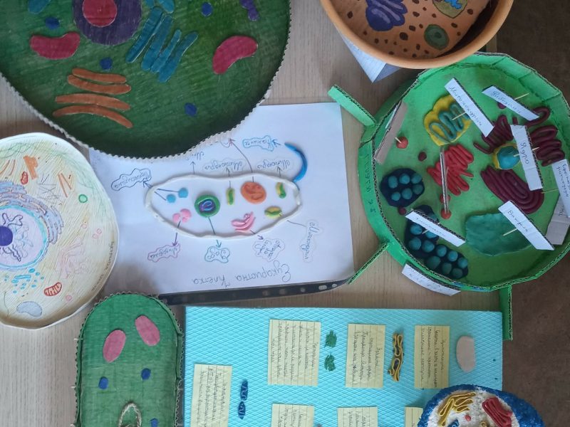 Проект по биология – „Макет на клетка“