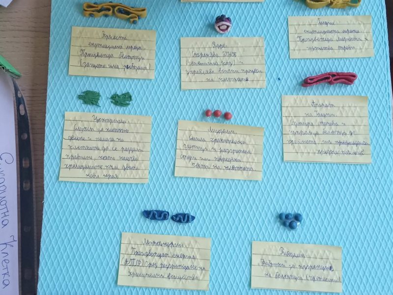 e316472c-1cd9-4dae-9f8c-f22945c0dbac