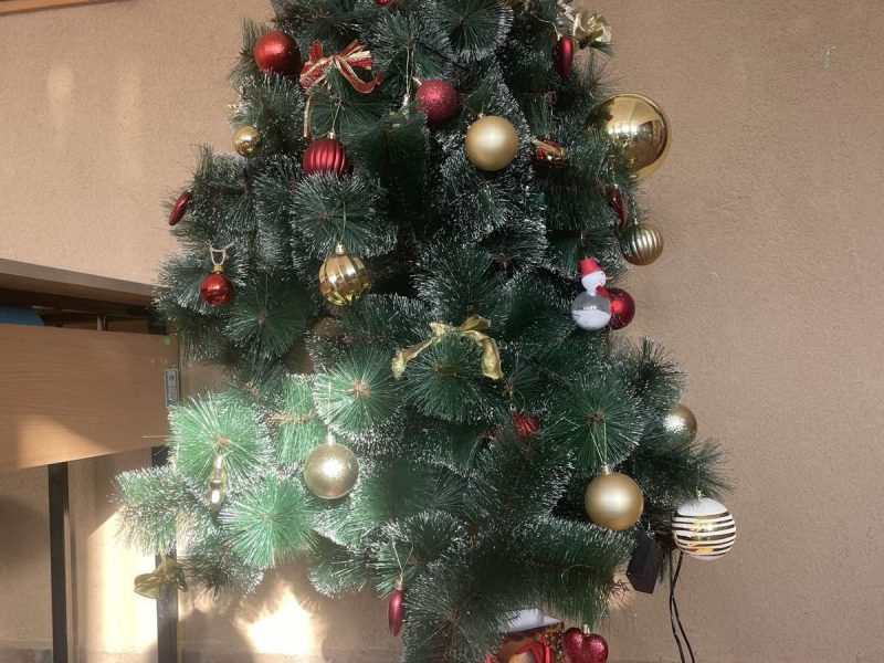 viber_image_2025-12-23_20-45-38-631