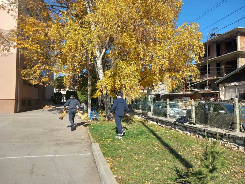 viber_изображение_2025-10-30_10-39-11-948