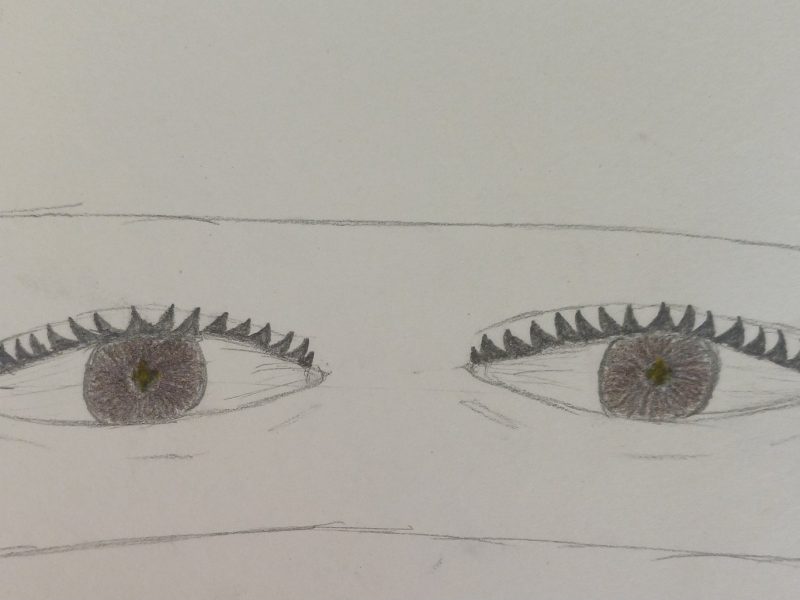 viber_изображение_2026-01-15_09-17-05-764