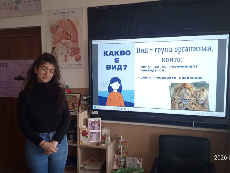 viber_изображение_2026-04-29_11-49-25-621