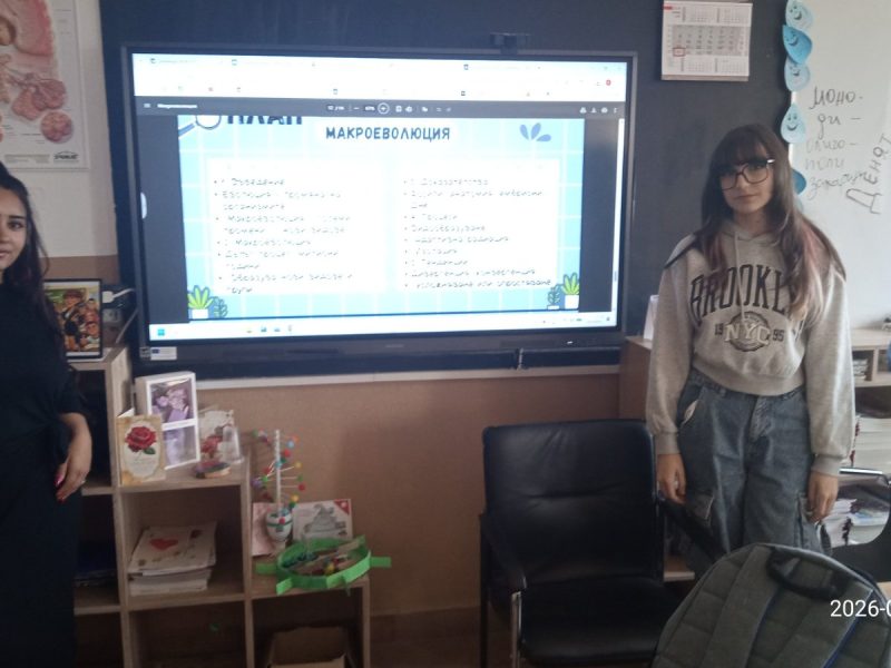 viber_изображение_2026-04-29_11-49-25-903