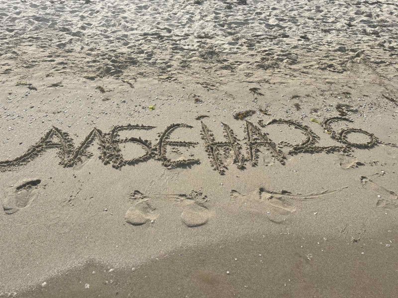 viber_изображение_2026-06-07_08-32-51-881